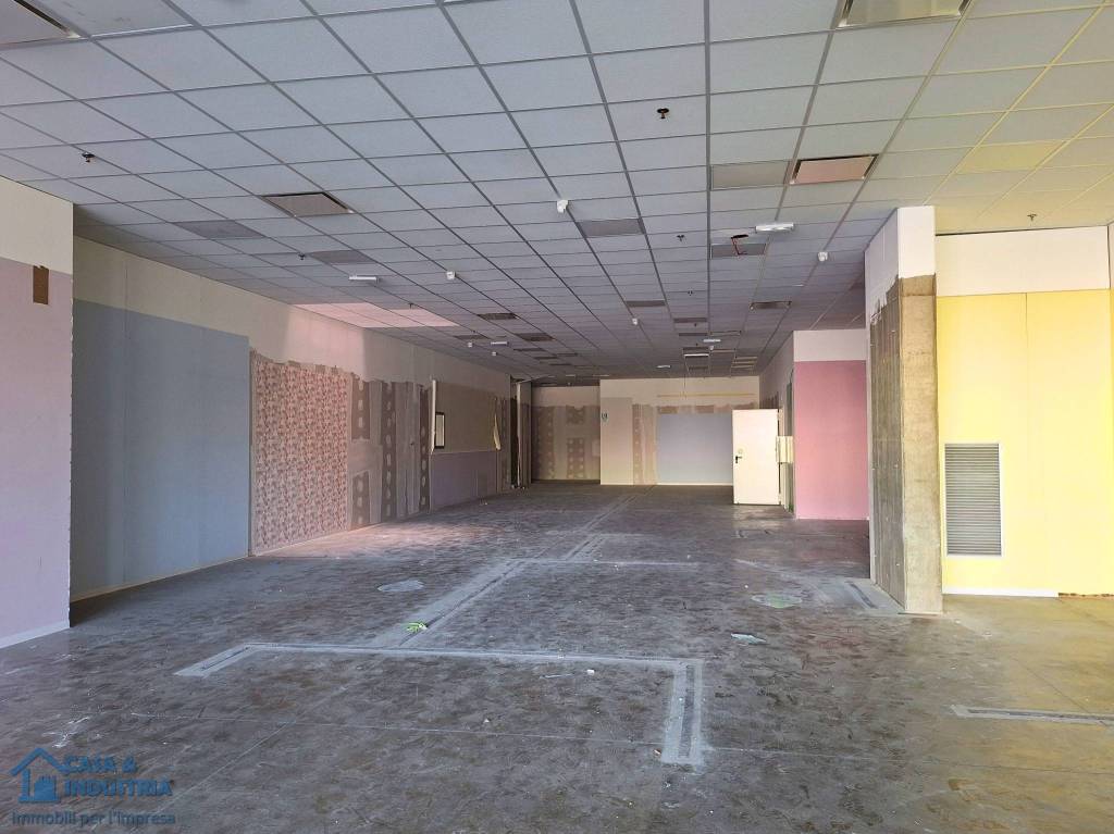 immagine annuncio 7 di 11