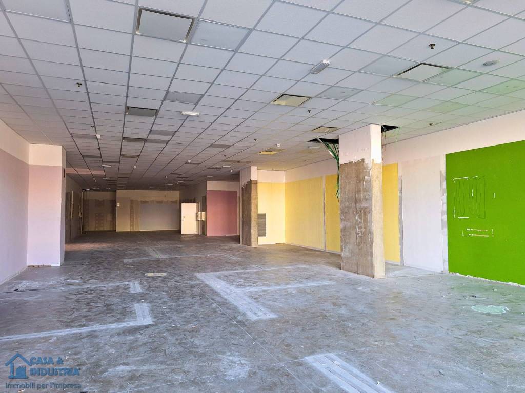 immagine annuncio 9 di 11