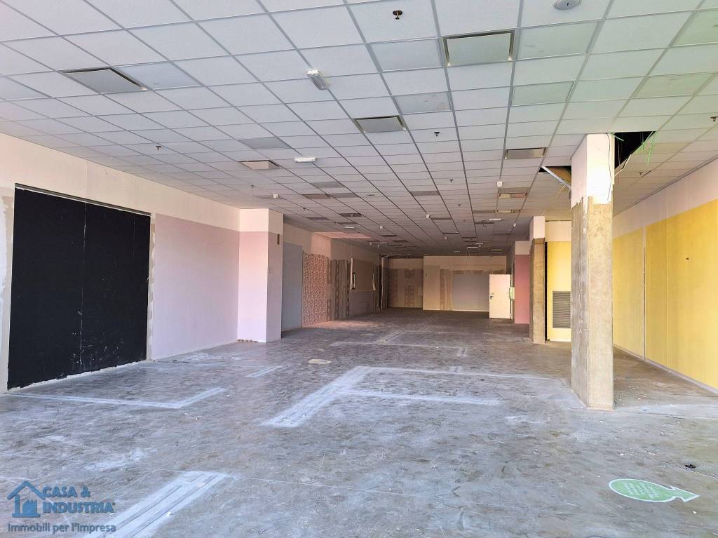 immagine annuncio 10 di 11