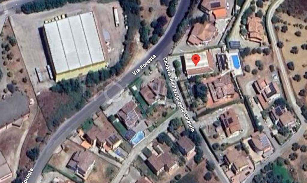 immagine annuncio 4 di 12