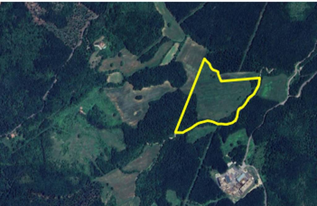 immagine annuncio 1 di 9