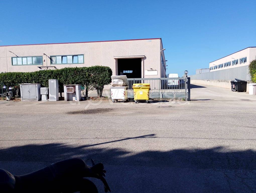 immagine annuncio 1 di 10