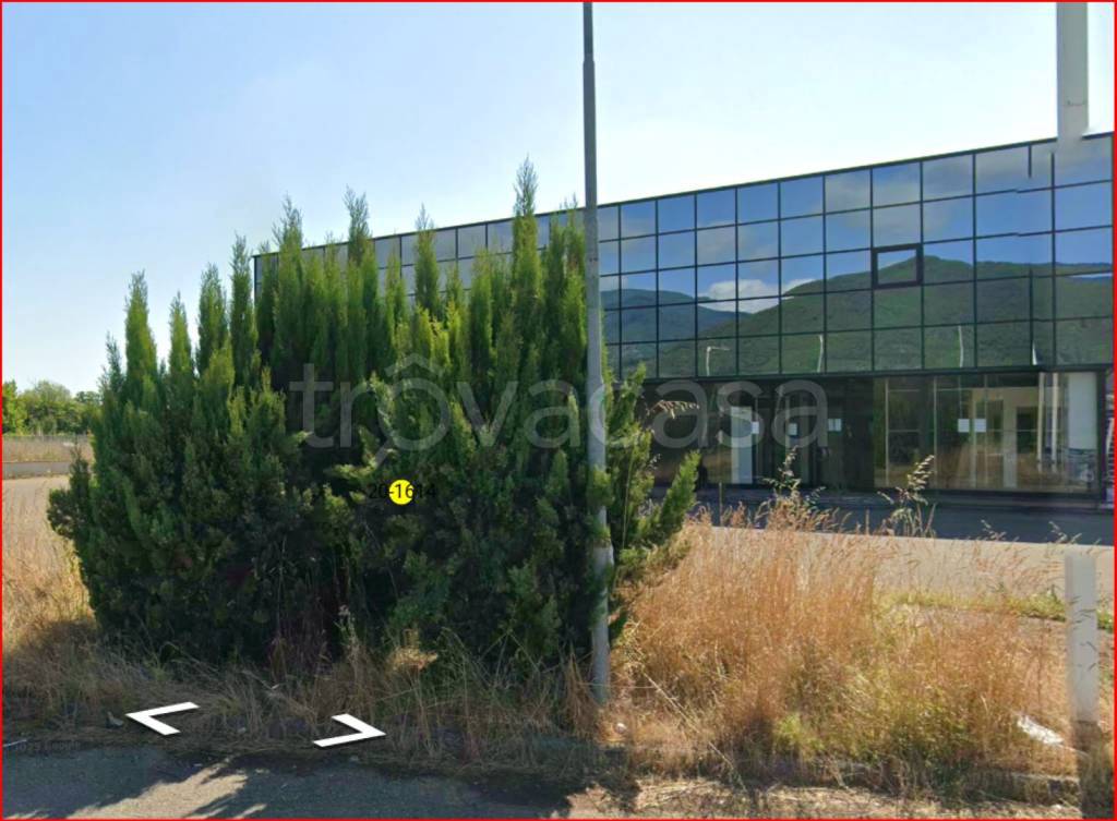 immagine annuncio 8 di 12