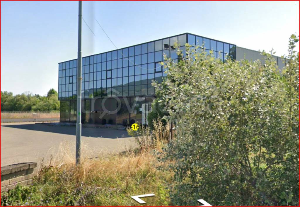 immagine annuncio 9 di 12