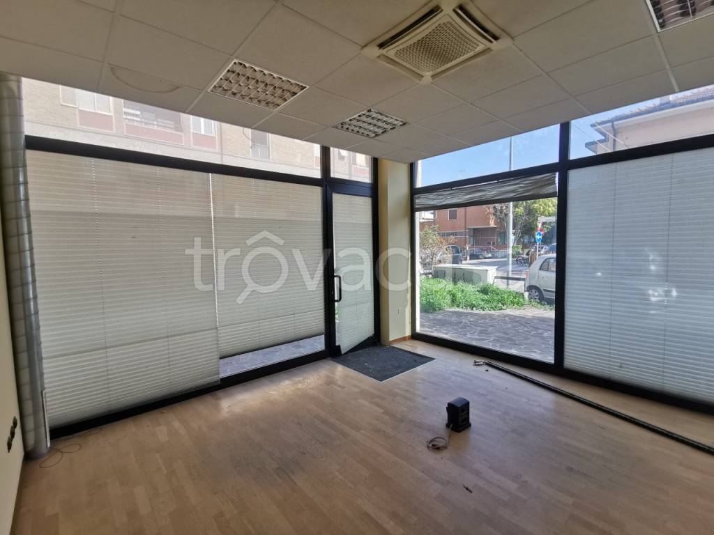 immagine annuncio 8 di 12