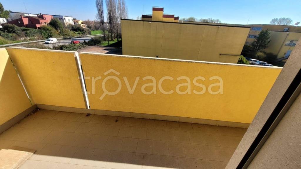 immagine annuncio 7 di 14