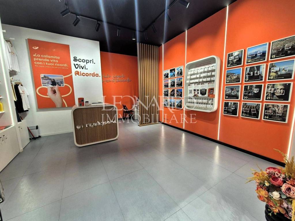 immagine annuncio 3 di 11