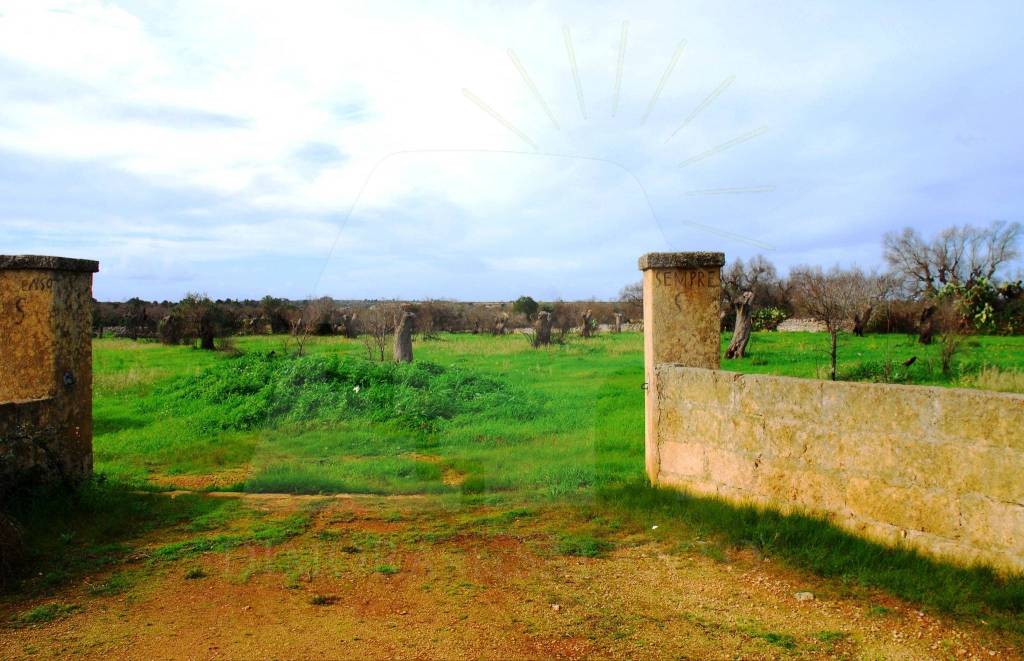 immagine annuncio 2 di 11