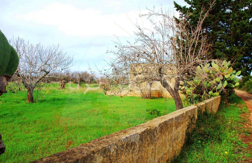 immagine annuncio 3 di 11