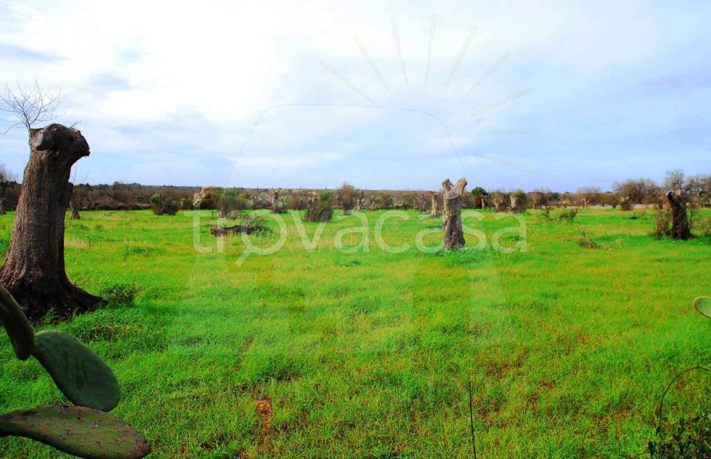 immagine annuncio 5 di 11