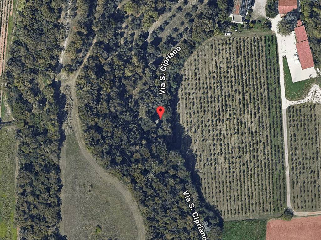 immagine annuncio 1 di 11