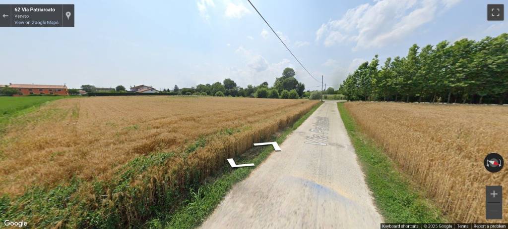 immagine annuncio 11 di 14