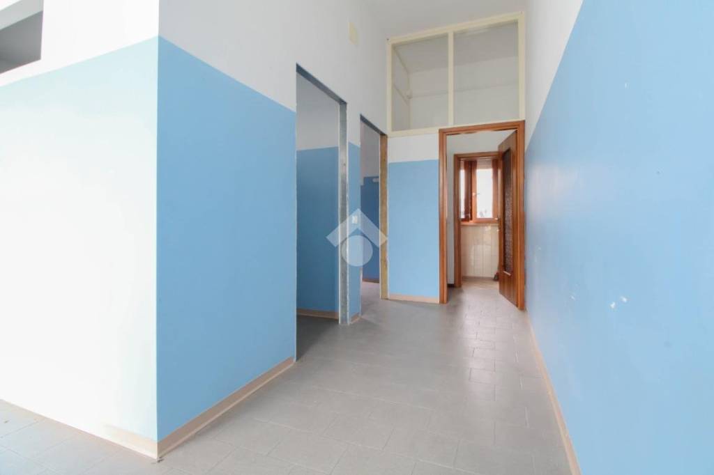 immagine annuncio 4 di 12