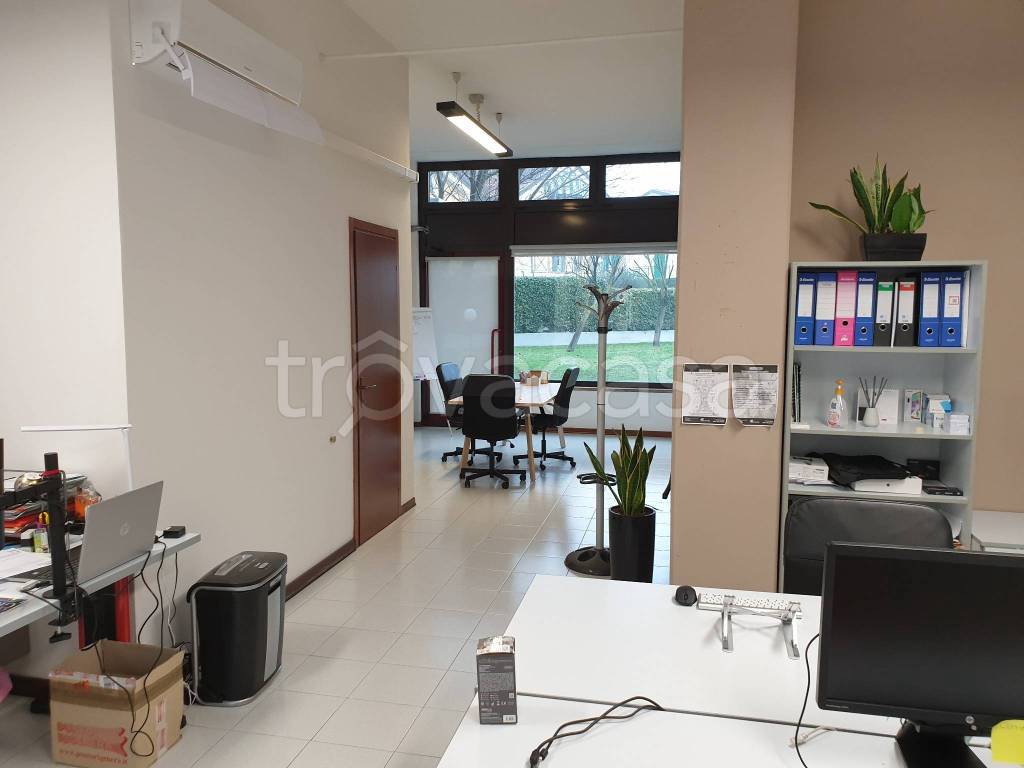 immagine annuncio 2 di 6