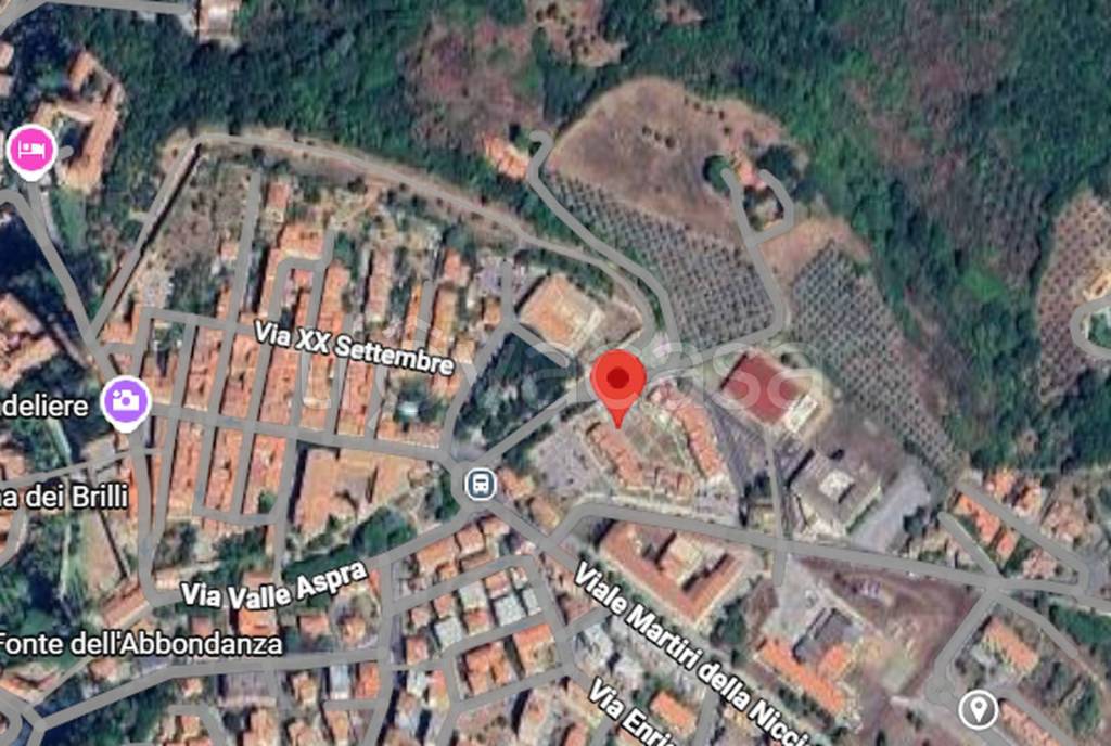 immagine annuncio 2 di 12