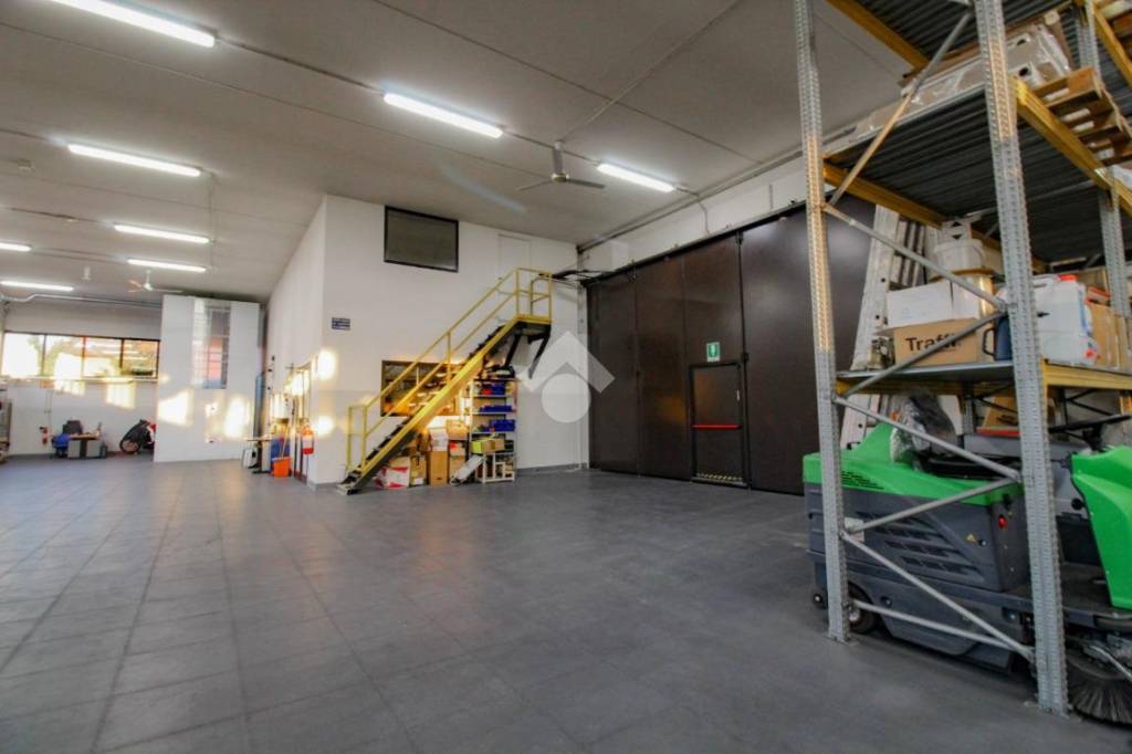 immagine annuncio 9 di 15