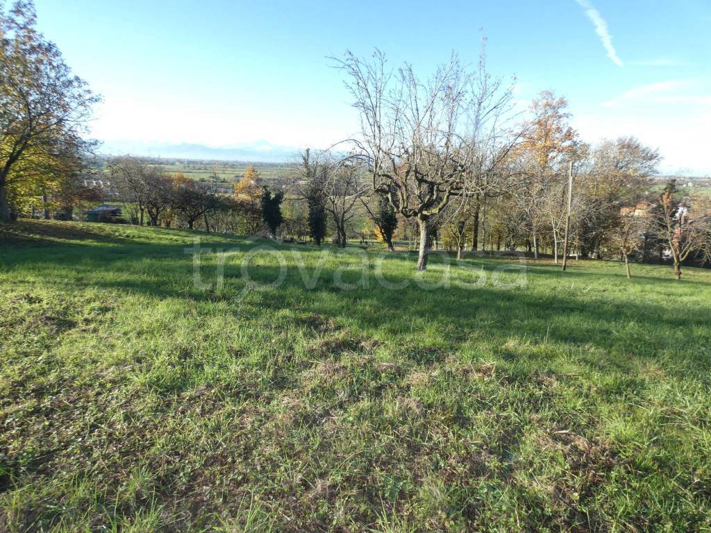 immagine annuncio 8 di 9