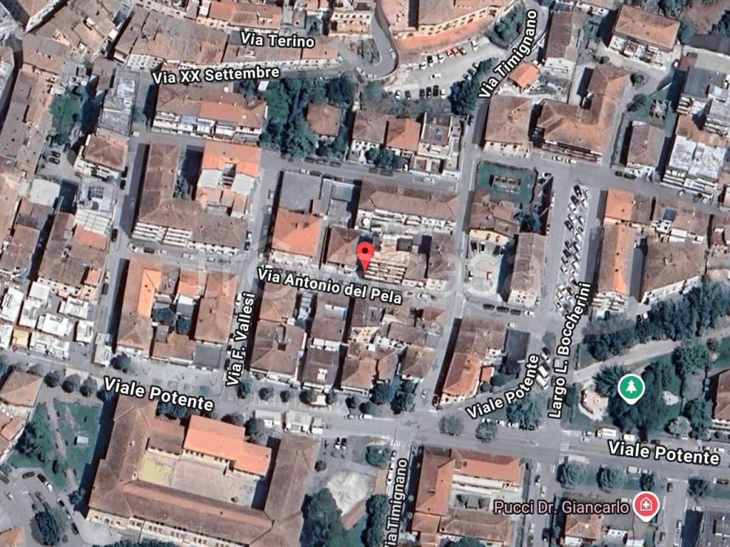 immagine annuncio 1 di 11