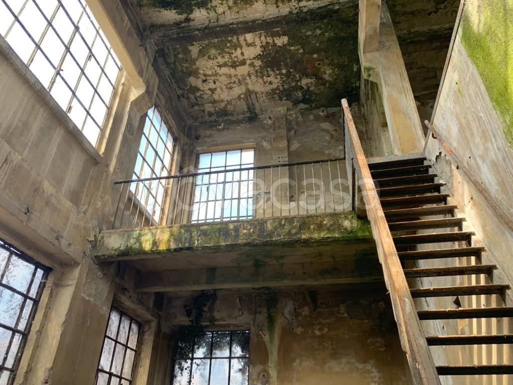 immagine annuncio 5 di 12