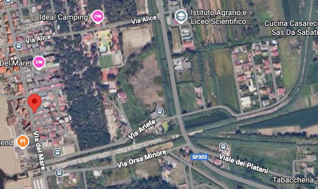 immagine annuncio 2 di 10