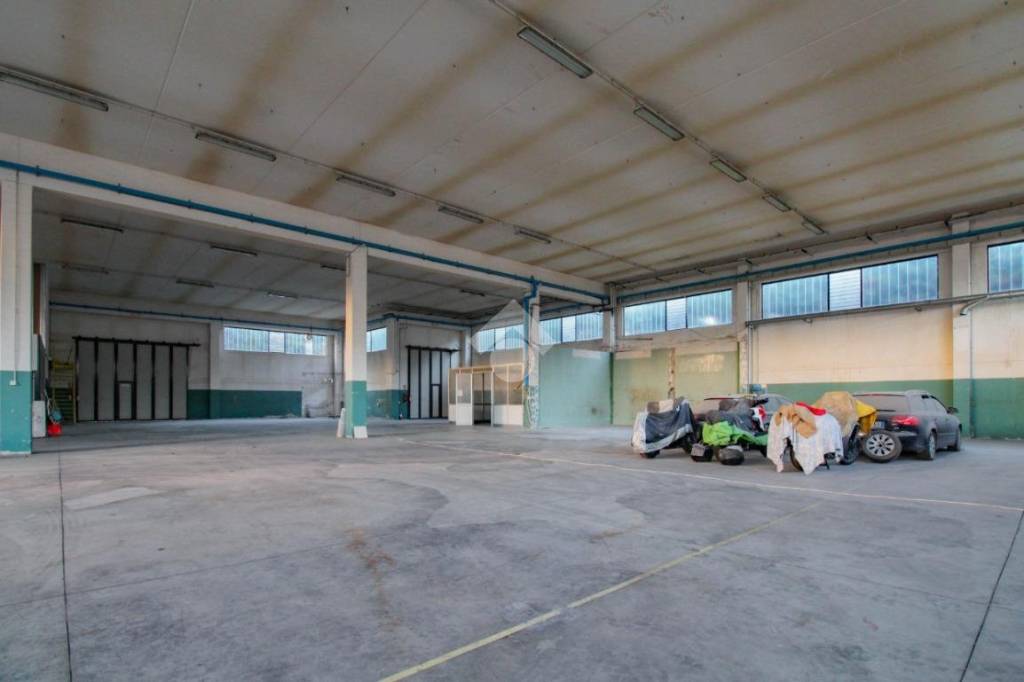 immagine annuncio 1 di 15