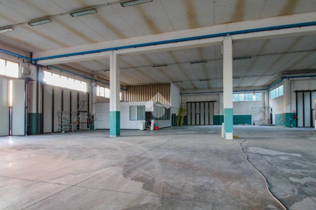 immagine annuncio 12 di 15