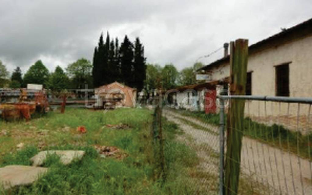 immagine annuncio 4 di 12