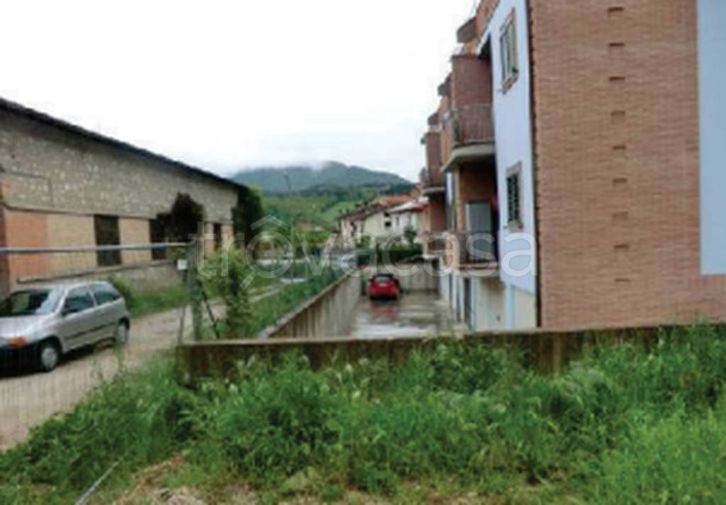 immagine annuncio 5 di 12