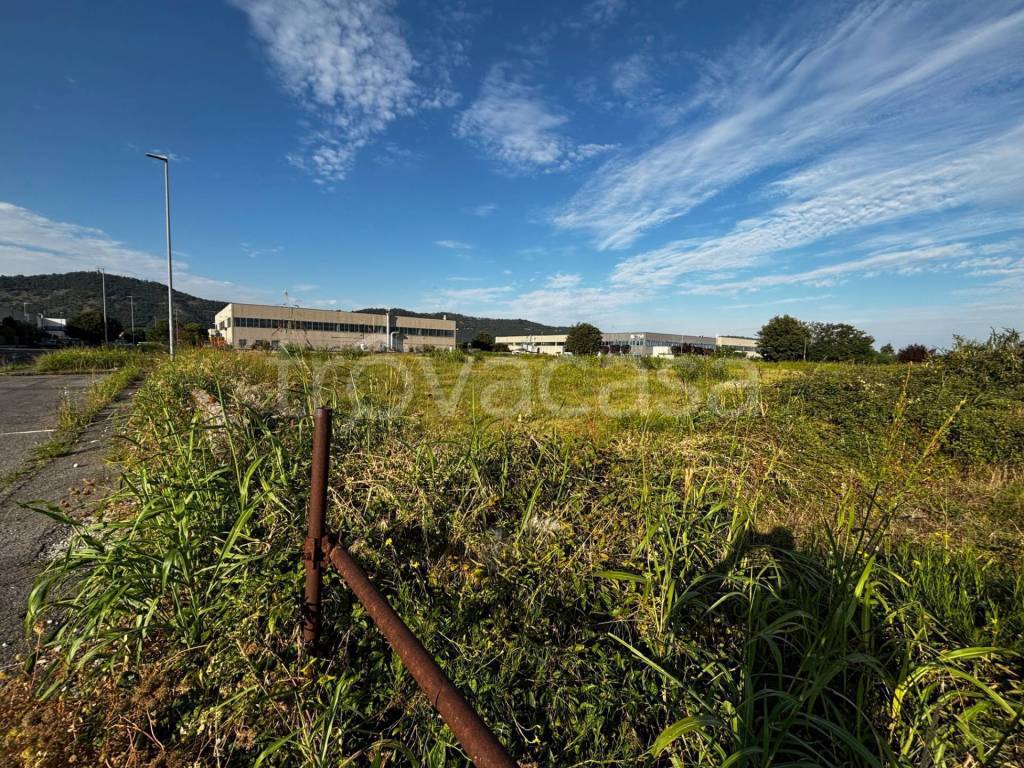 immagine annuncio 6 di 12