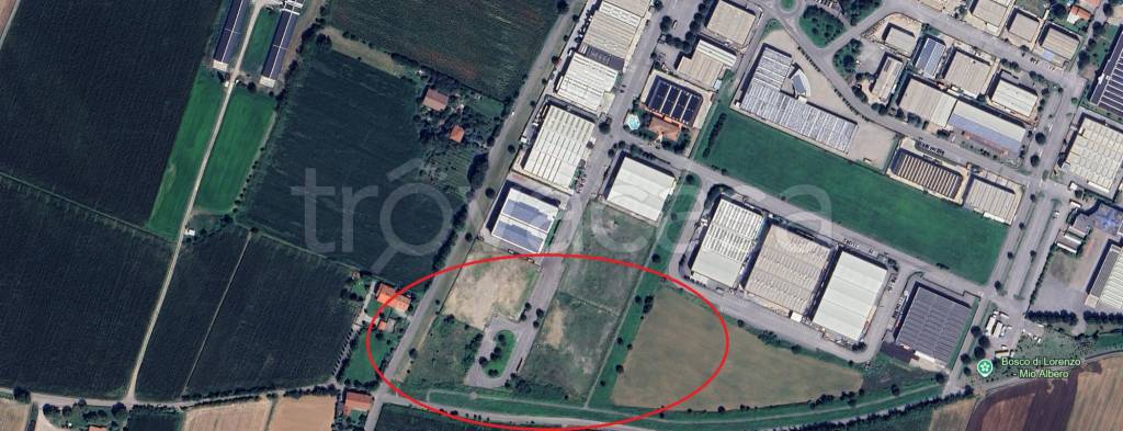 immagine annuncio 3 di 12