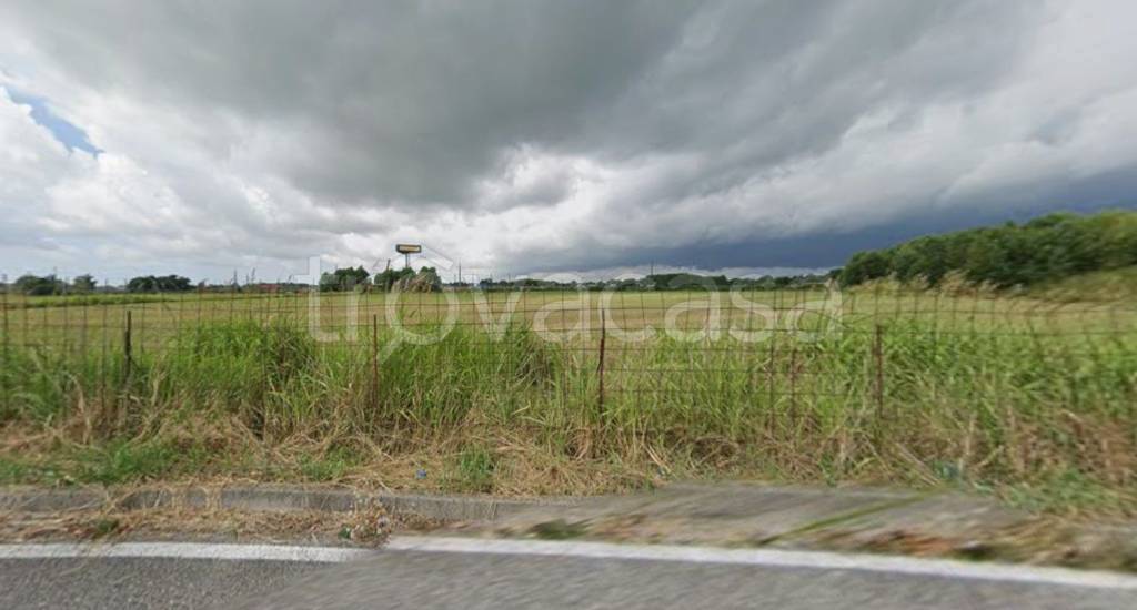 immagine annuncio 2 di 4