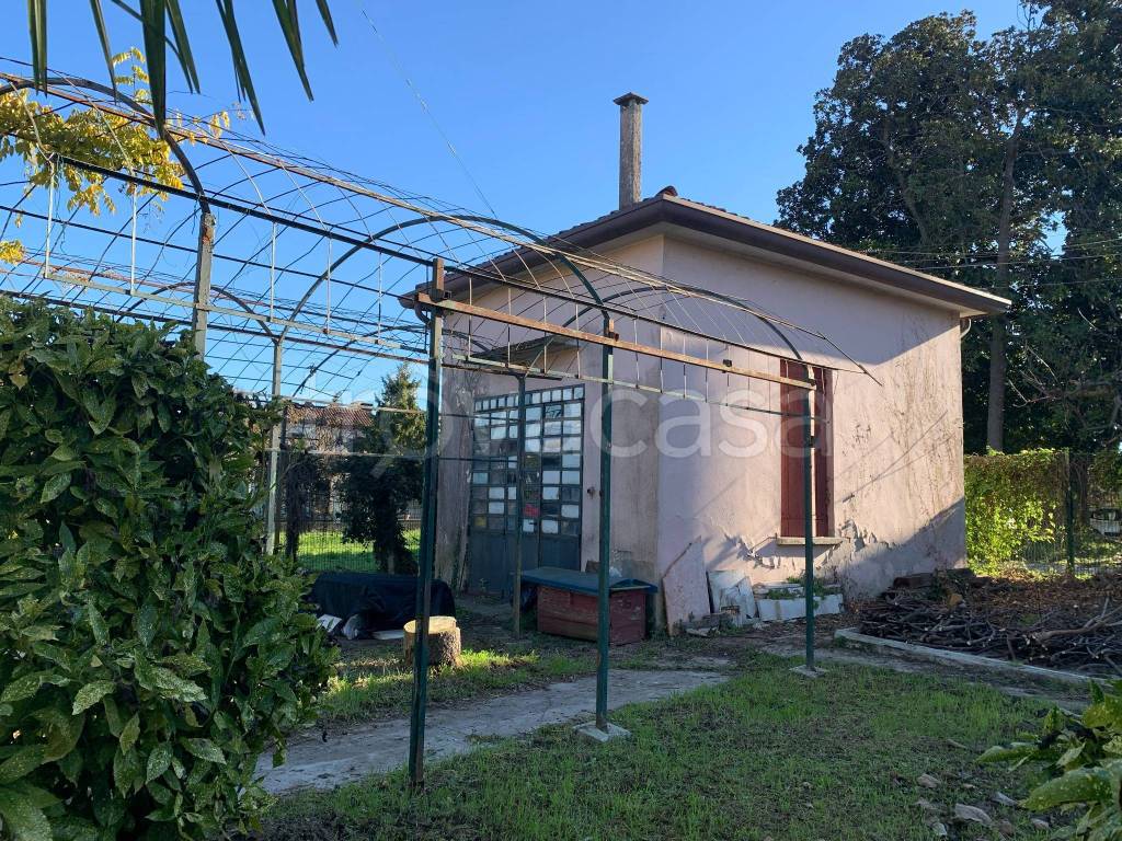 immagine annuncio 10 di 15