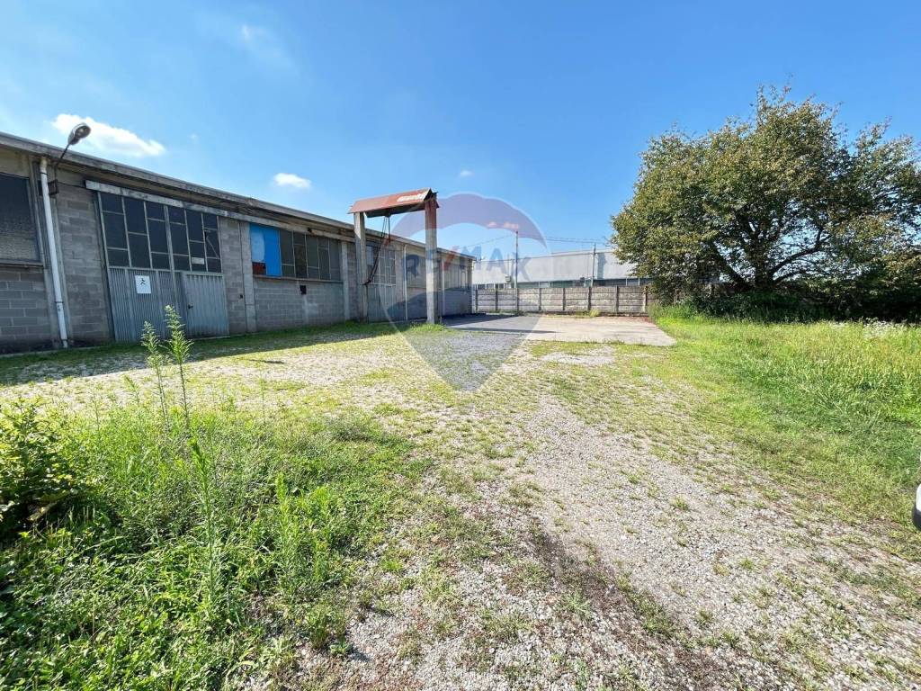 immagine annuncio 2 di 15