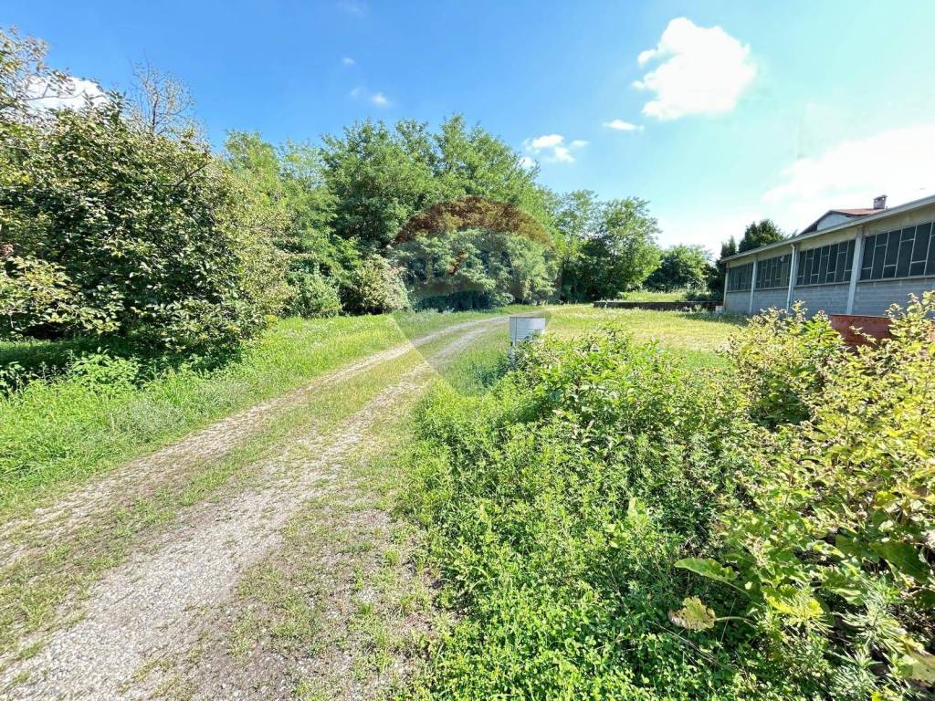 immagine annuncio 3 di 15