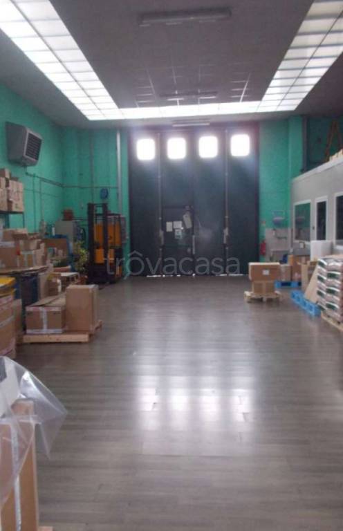 immagine annuncio 8 di 13