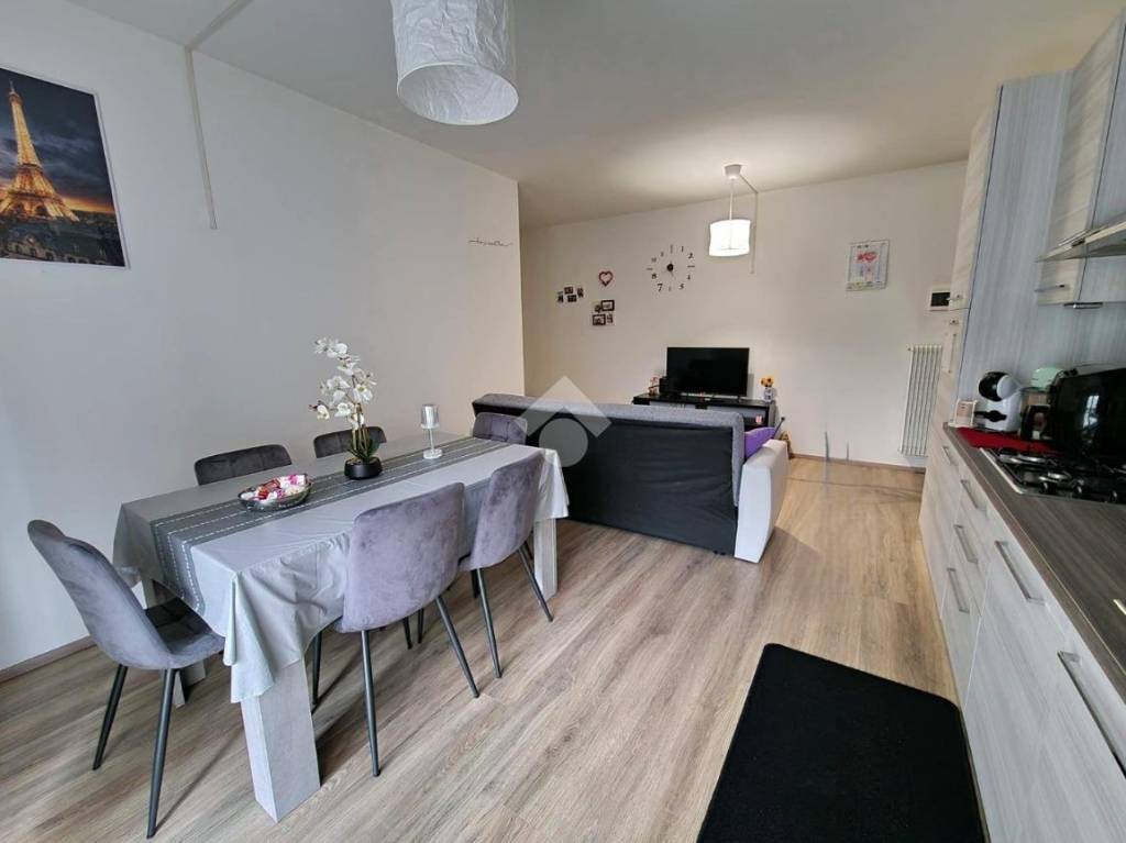 immagine annuncio 2 di 14