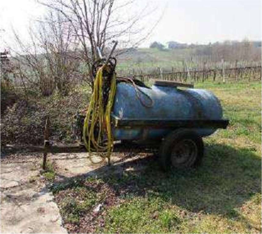 immagine annuncio 13 di 15