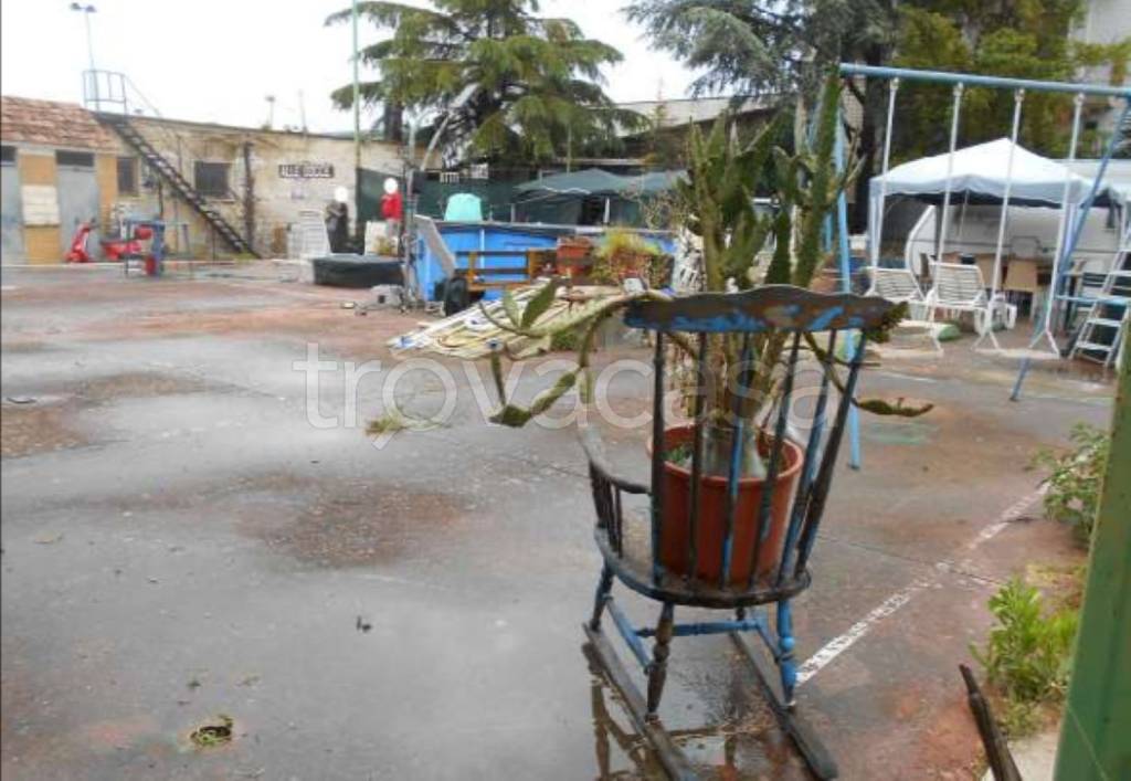 immagine annuncio 2 di 12