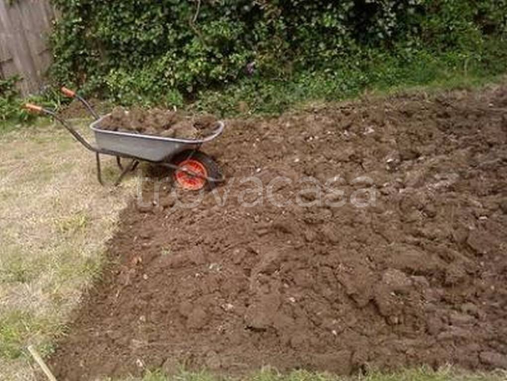 immagine annuncio 2 di 6