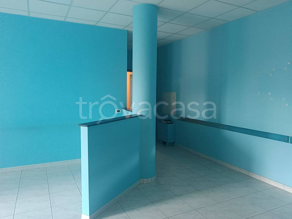 immagine annuncio 3 di 9