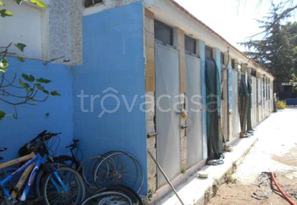 immagine annuncio 5 di 12