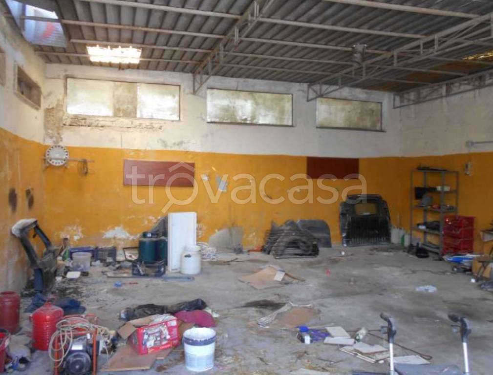 immagine annuncio 10 di 12