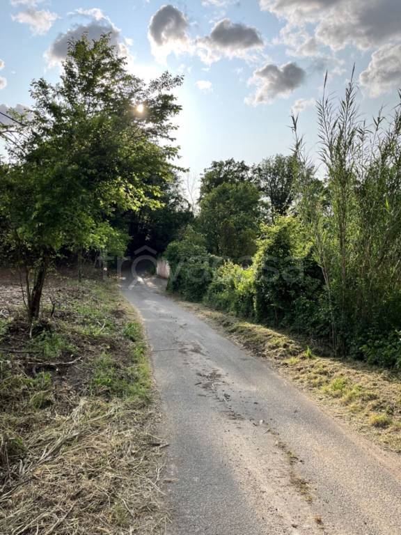 immagine annuncio 5 di 13