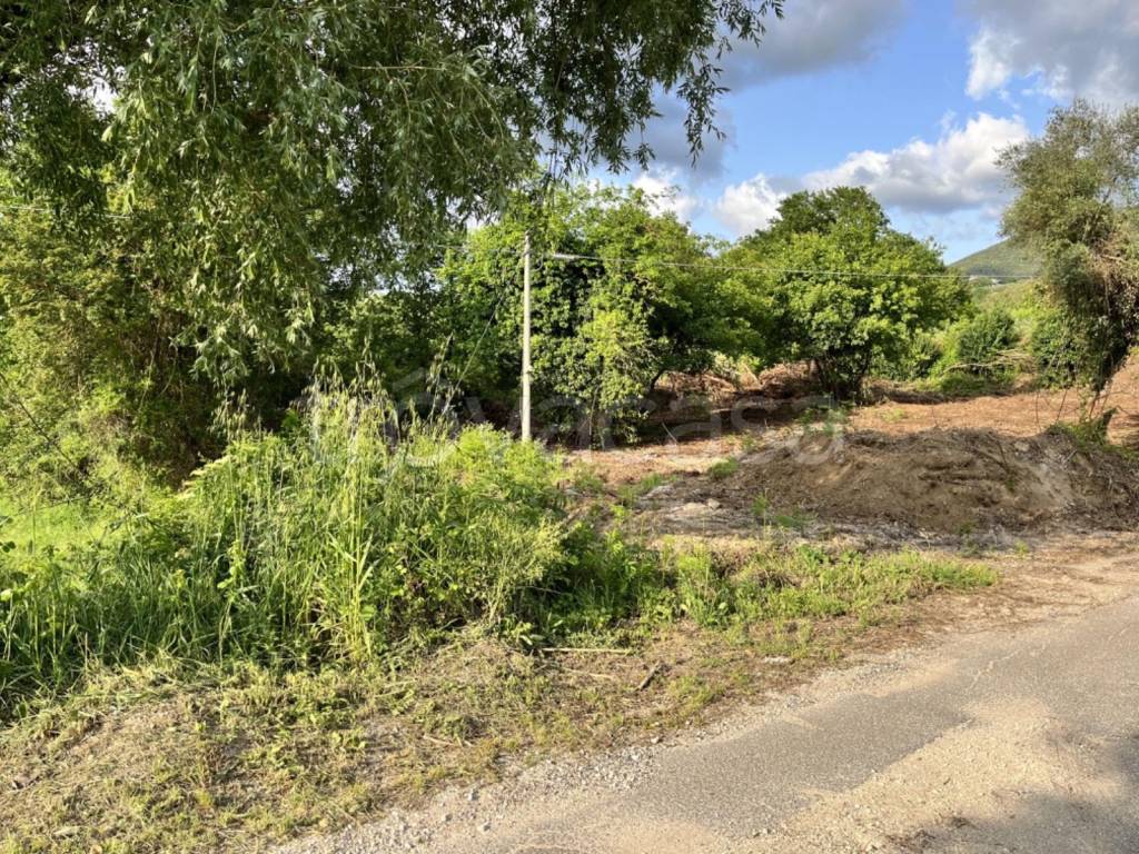 immagine annuncio 11 di 13