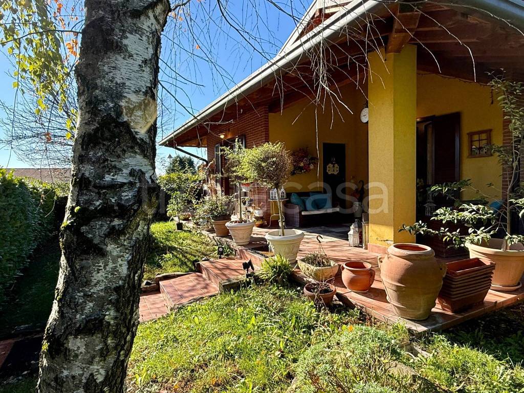 immagine annuncio 3 di 15