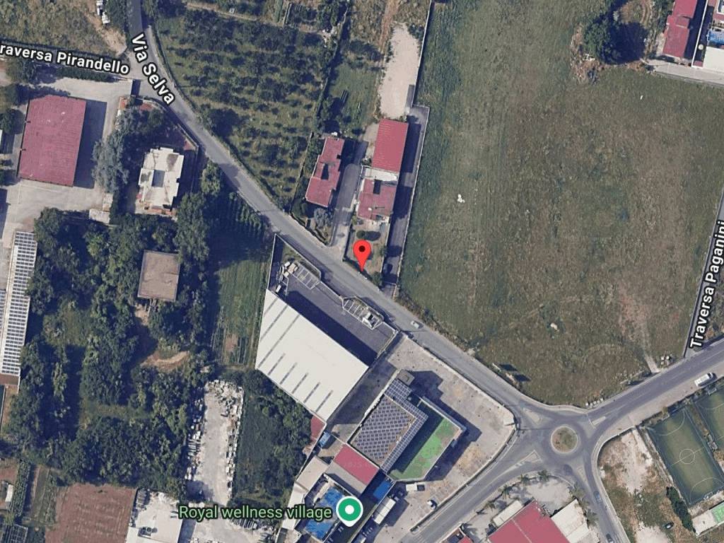 immagine annuncio 1 di 11