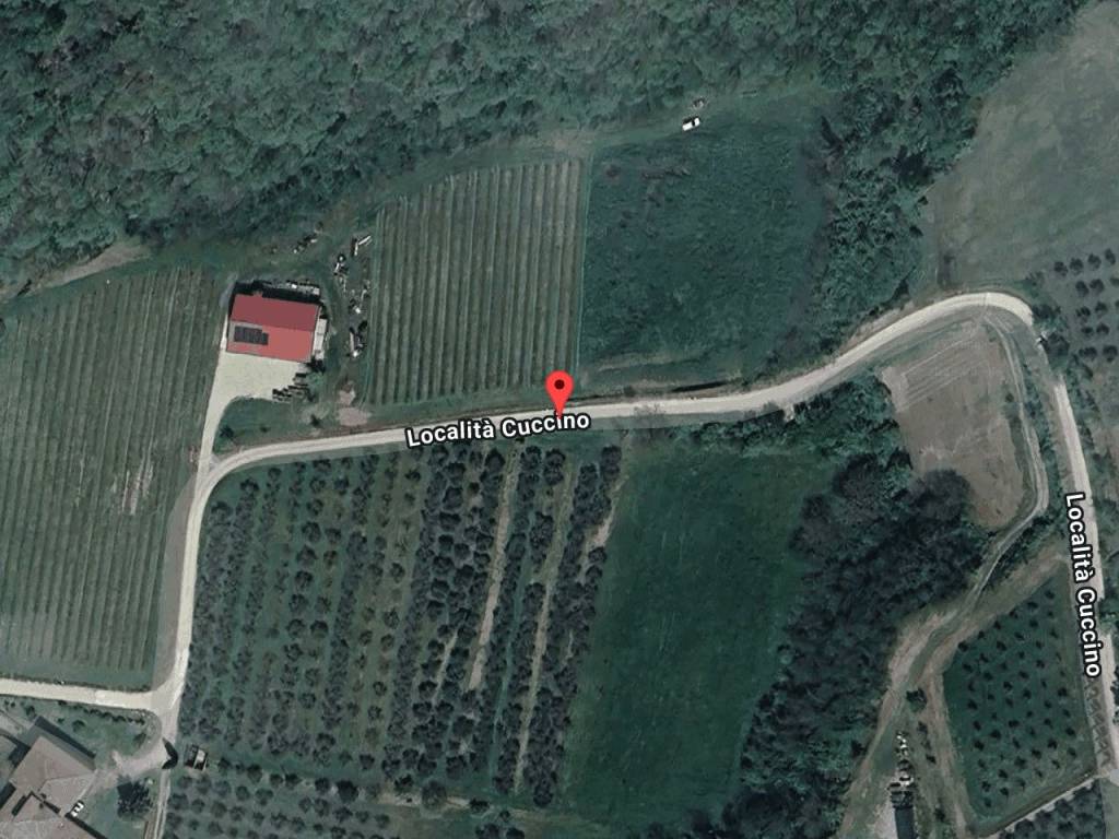 immagine annuncio 1 di 11