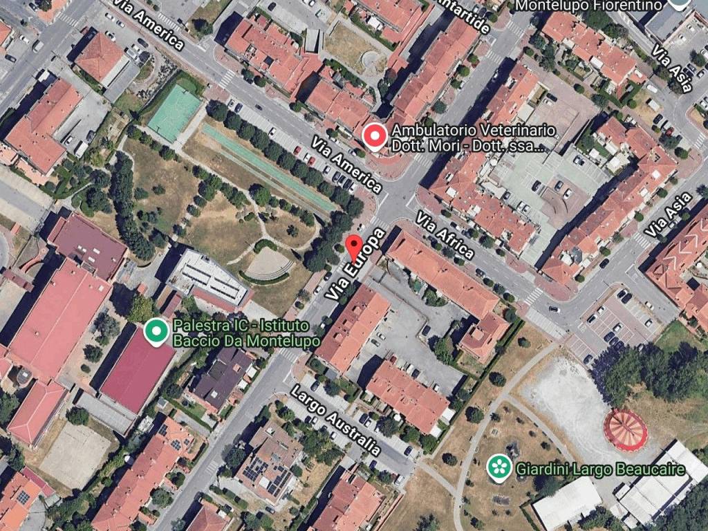 immagine annuncio 1 di 11