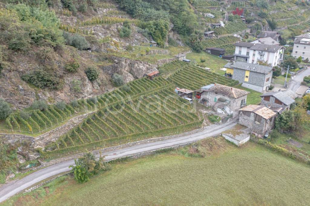 immagine annuncio 3 di 14