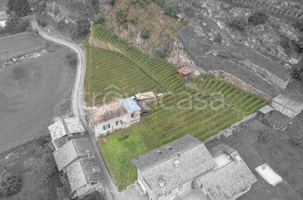 immagine annuncio 6 di 14